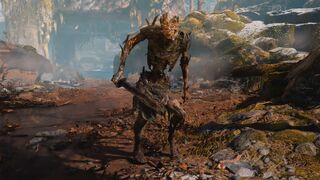 Draugr básico en el Bosque Salvaje