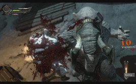 The Village of Kirra