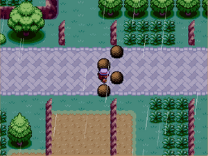Route 18 Roadblock.png