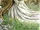Nerthus