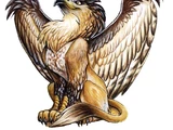 Griffin