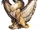 Griffin