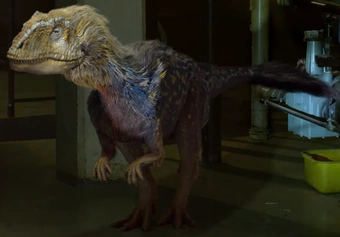 Ozraptor | Godzilla and friends Wiki | Fandom