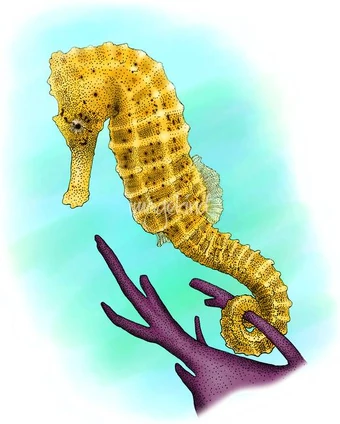 340?cb=20211005224029