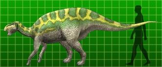 SAURUS ✴︎秘蔵蔵出し品　Wネーム　フィリプソン SAURUS ✴︎秘蔵蔵出し品 Wネーム フィリプソン SAURUS ✴︎秘蔵