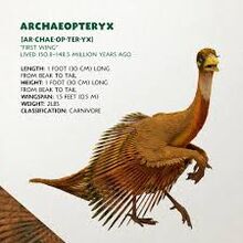 Archaeopteryx | Godzilla and friends Wiki | Fandom