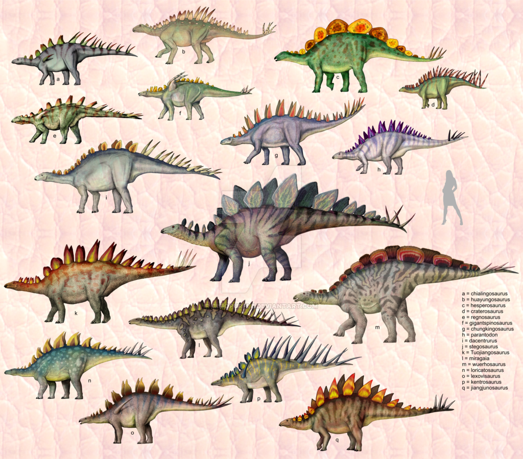 G is for Gigantspinosaurus, Science