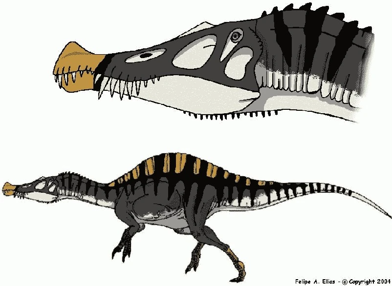 Angaturama Godzilla and friends Wiki Fandom