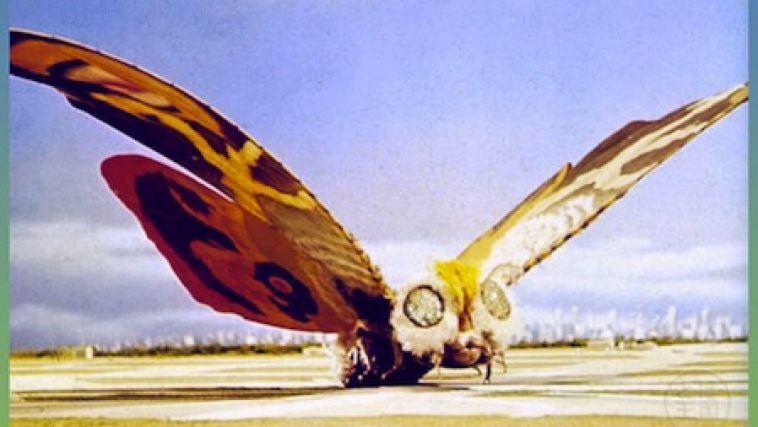 Mothra Godzilla Archive Wiki Fandom