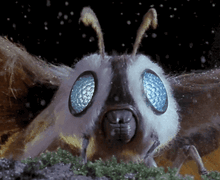 A07.gif
