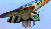 RainbowMothra