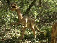 Oviraptor