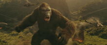 KongSkullIslandScreenshot - 3623.jpg