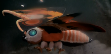 2546052 orig.png