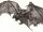Probe Bat