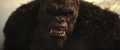 Godzilla vs. Kong - Trailer 1 - Kong Grimaces