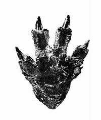 Godzilla 2016 Foot Design