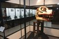 Great Godzilla 60 Years Special Effects Exhibition - Meltdown Godzilla head