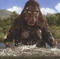 Kong Water Suit 2.jpg (10 KB)