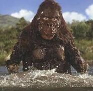 Water Stunt Kong