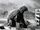 Varan (Showa)