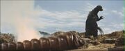 Bild Film 4.2