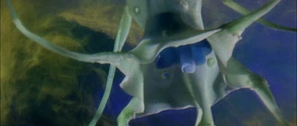 Dogora as it is seen in Dogora (click to enlarge)