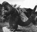 KKVG - Godzilla On A Wooden Board