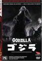 Godzilla Madman DVD Cover