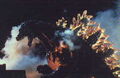 Gzilla4.jpg (8 kB)