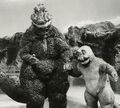 SOG - Godzilla and Minilla Derp About