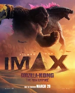 GxK IMAX poster 2.jpg (587 KB)