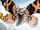 Mothra (Gangsters and Goliaths)