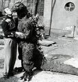 Give Me Sugar Baby! -GyakushuGoji Godzilla 1955 Raids Again-