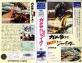 Japanese Vhs cover