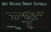 Antinukleare Bakterien 1