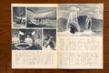 1971 MOVIE GUIDE - TOHO CHAMPION FESTIVAL INVASION OF ASTRO-MONSTER PAGES 1