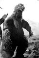 One of the Godzilla suits used in the film, which bears a striking resemblance to the KingGoji