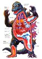 Anatomy of Godzilla