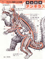 Anatomy of Anguirus