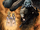 KINGDOM OF MONSTERS Issue 5 CVR A Art.png