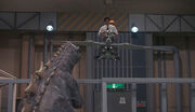Godzilla Jr. Geschichte 1