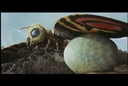 Die sterbende Mothra beschützt ihr Ei noch, bis es schlüpft