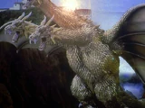 King Ghidorah