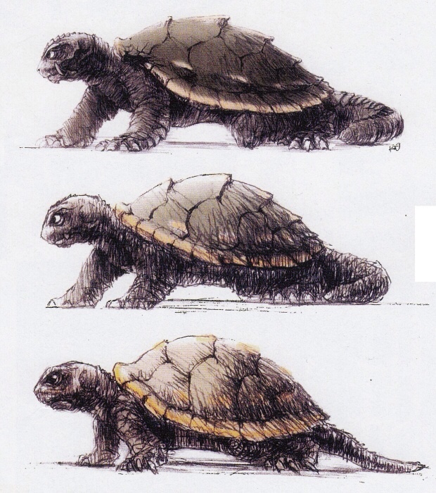 gamera the brave turtle