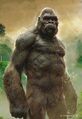 Kong-skull-island-47-705x1024