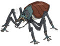 Giant Water Beetle concept art