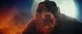 Kong Skull Island - Trailer 2 - 00032