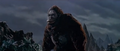 King Kong vs. Godzilla - 25 - Derp