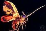Mothra in 